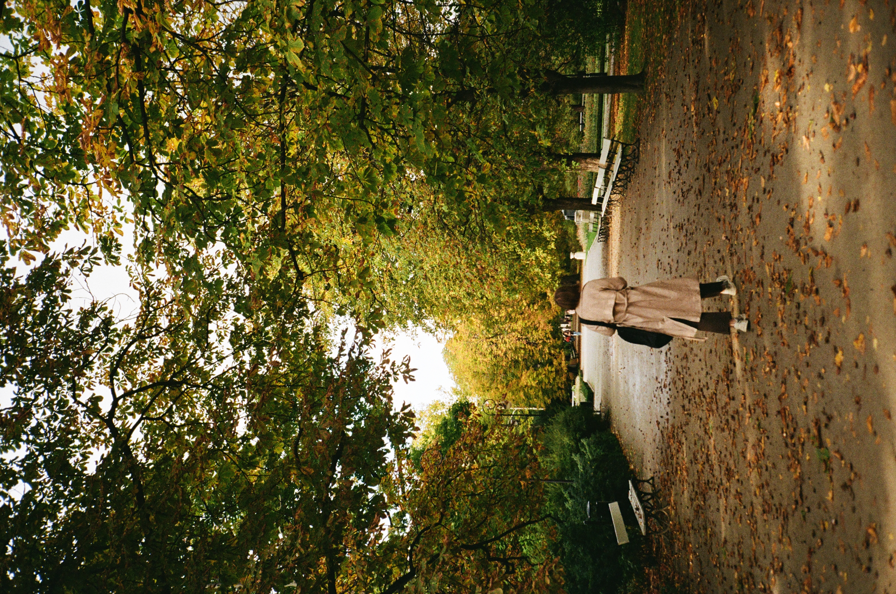 film - 9430d0_de1f9219f5ed42a0962336eb97eaab7e~mv2.jpg